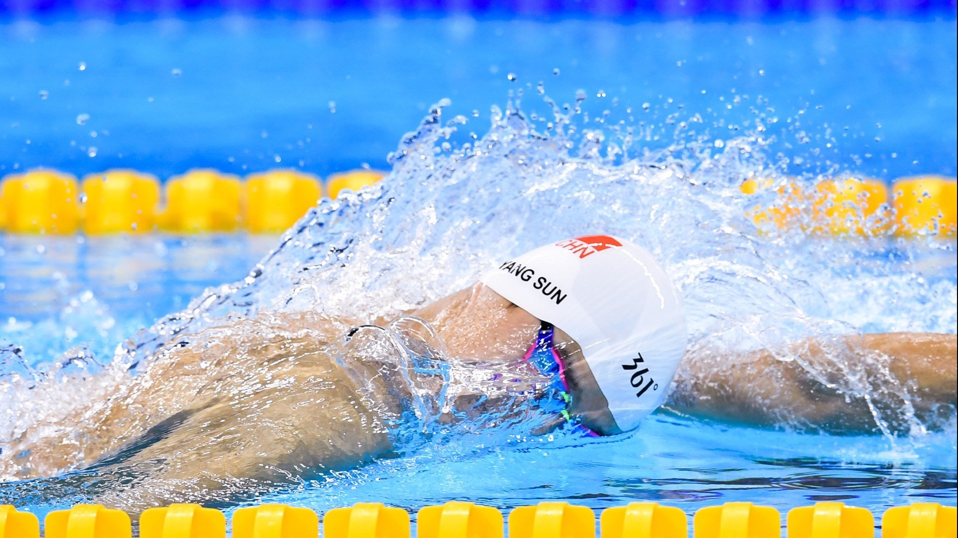 聖卢西亚室内运动馆正式投入使用,圣卢西亚湿地公园